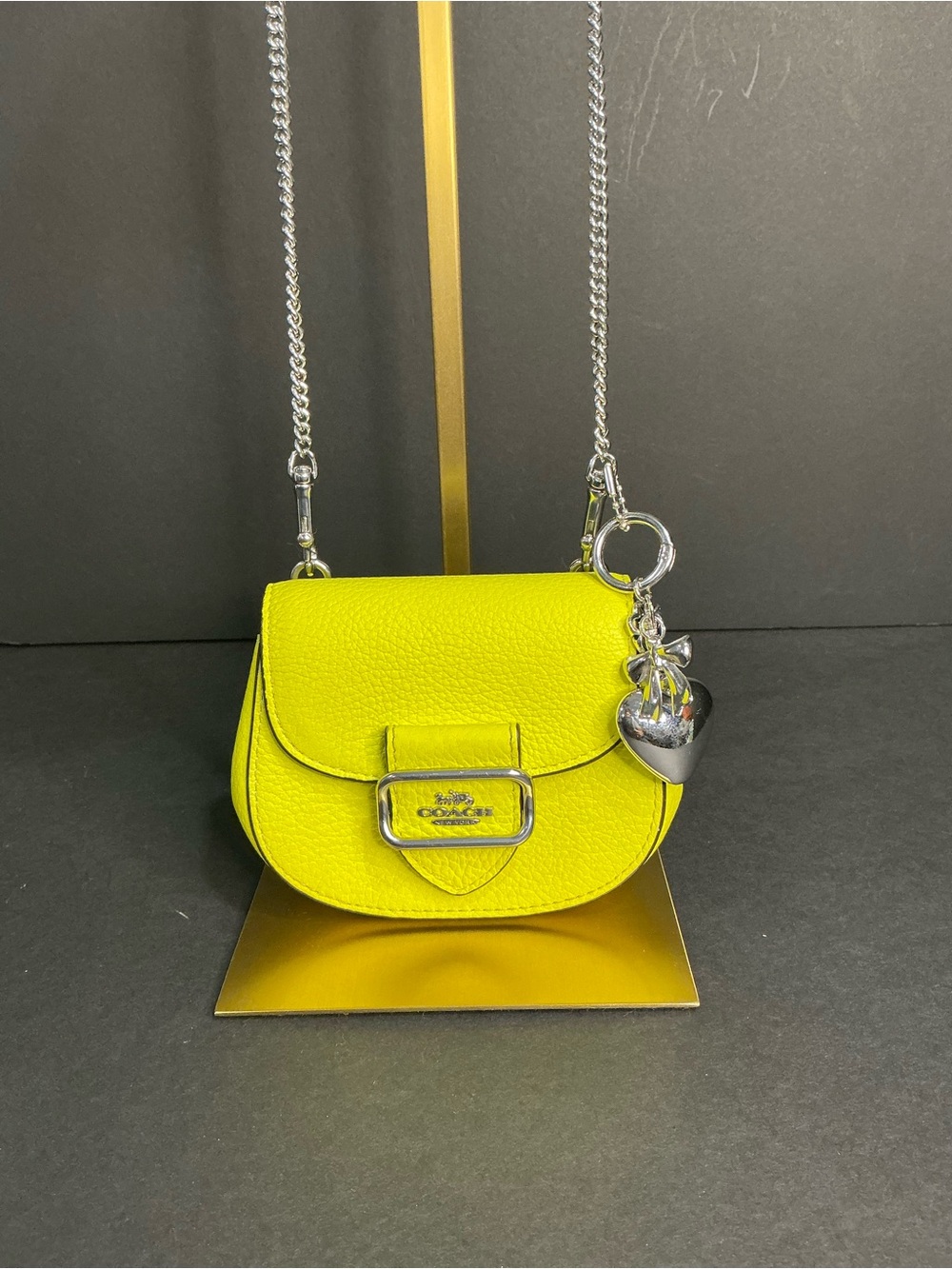 Coach Morgan Card Case On A Chain